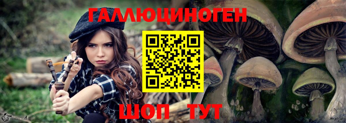 Моршанск  Галлюциногенные грибы Cubensis  Вход с VPN 