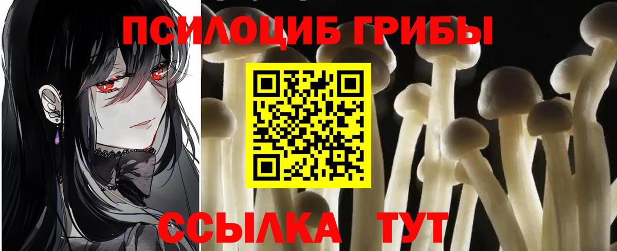 Псилоцибиновые грибы мицелий Моршанск